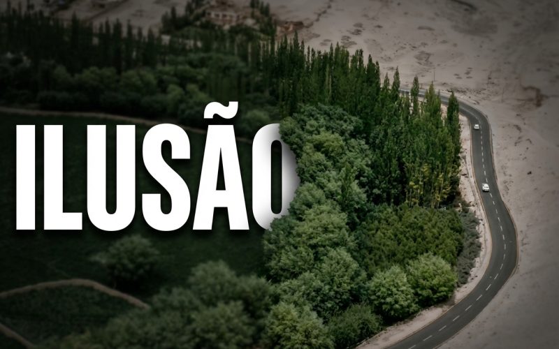 A Grande Ilusão Verde: Como a Muralha de Árvores da China Secou o Futuro de Seu Povo