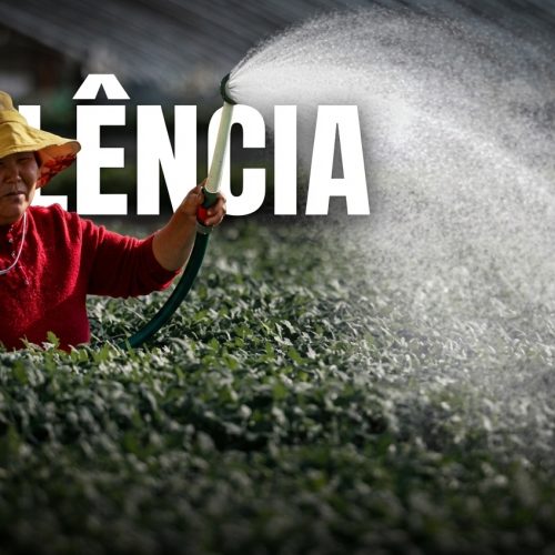 A Crise Previdenciária na China: Como 20 Yuan Revelam a Falência do Planejamento Central