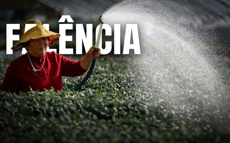 A Crise Previdenciária na China: Como 20 Yuan Revelam a Falência do Planejamento Central